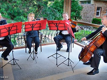 Orchestra si Cvartetul Amadeo Nunta Constanta