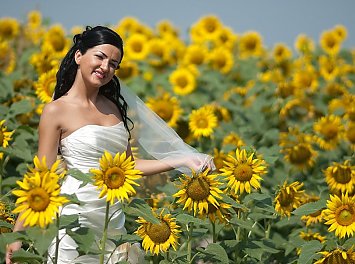 Foto Studio Enigma Nunta Constanta